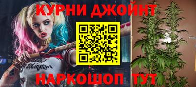прущие грибы Партизанск