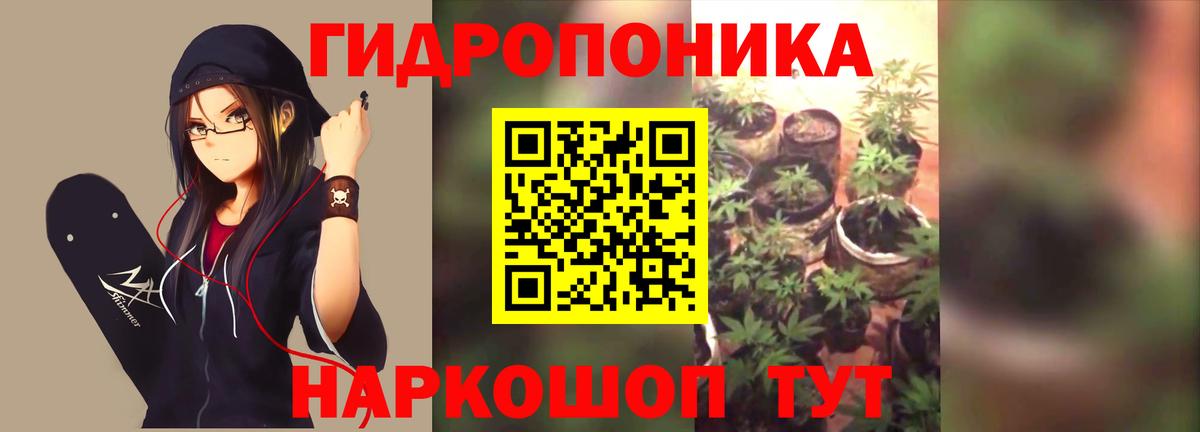 Марихуана THC 21%  Бошки Шишки SATIVA & INDICA  Ржев  Каннабис семена  Конопля MAZAR  Вход с VPN 
